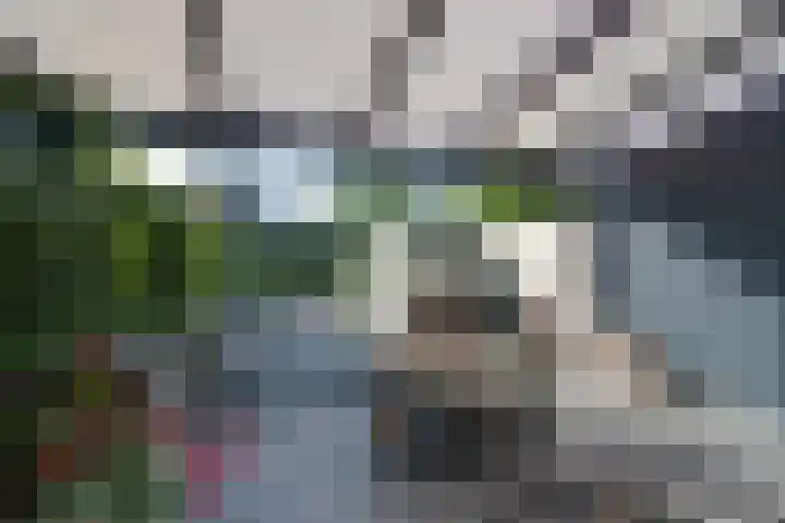 De Krommert 115 Oosthuizen thumbnail 25