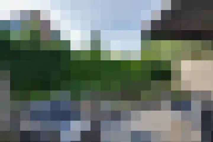 De Krommert 115 Oosthuizen thumbnail 29