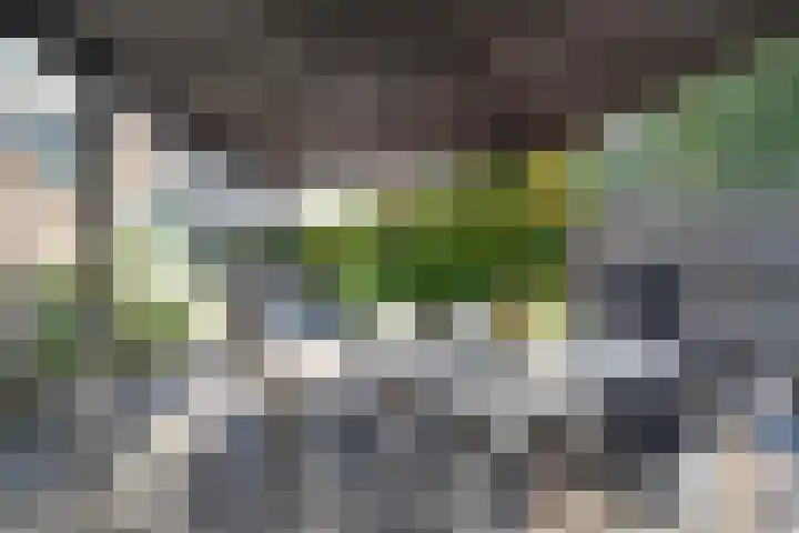De Krommert 115 Oosthuizen thumbnail 30