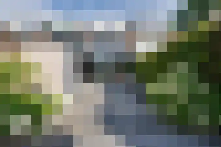 De Krommert 115 Oosthuizen thumbnail 32