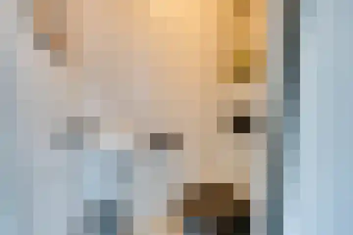 De Krommert 115 Oosthuizen thumbnail 33