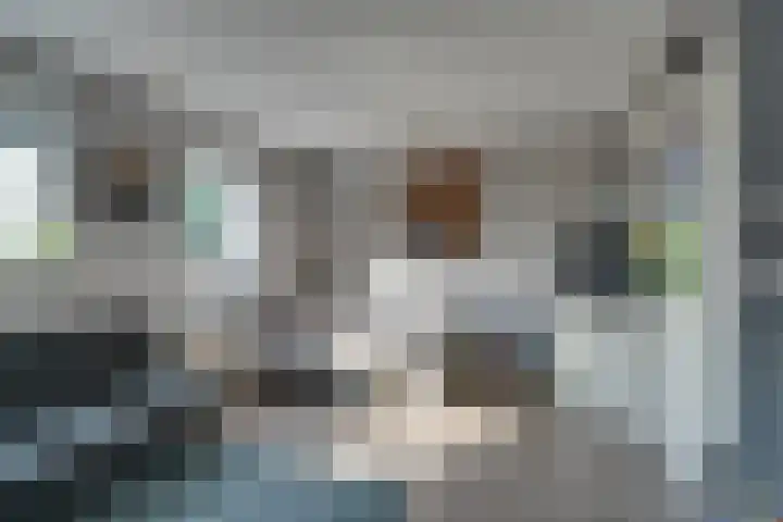 De Krommert 115 Oosthuizen thumbnail 36