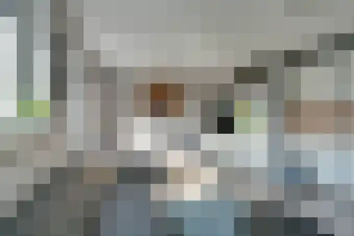 De Krommert 115 Oosthuizen thumbnail 37