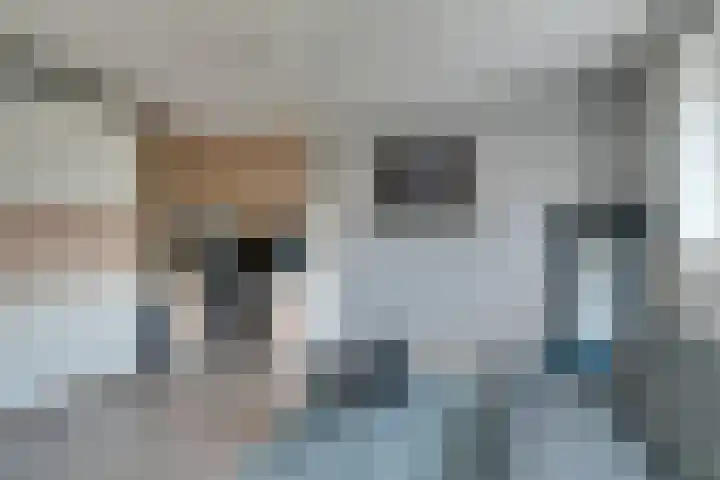 De Krommert 115 Oosthuizen thumbnail 38