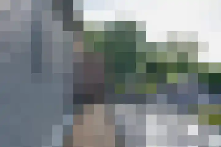 De Krommert 115 Oosthuizen thumbnail 39