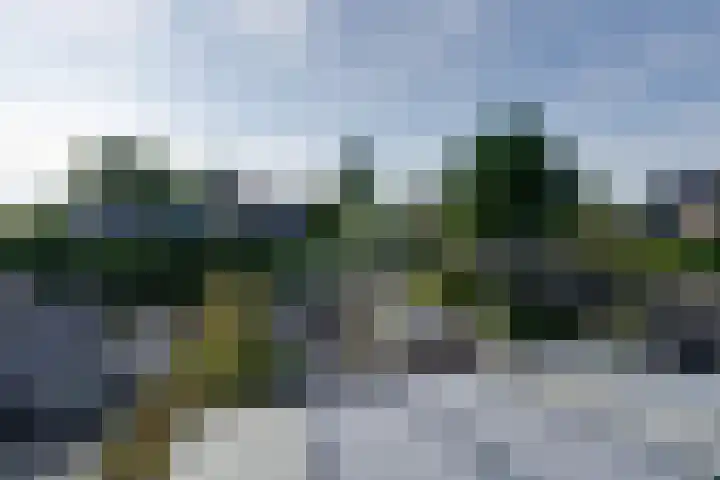 De Krommert 115 Oosthuizen thumbnail 41