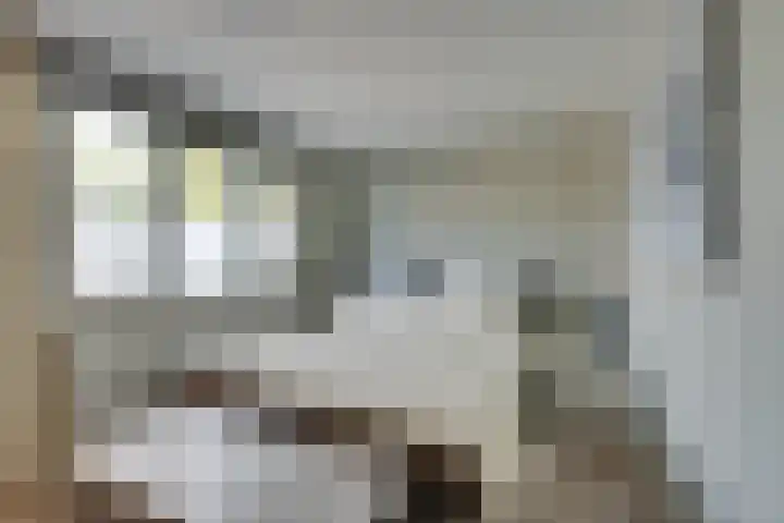 De Krommert 115 Oosthuizen thumbnail 42