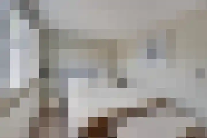 De Krommert 115 Oosthuizen thumbnail 43