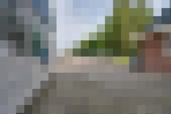 De Krommert 115 Oosthuizen thumbnail 5