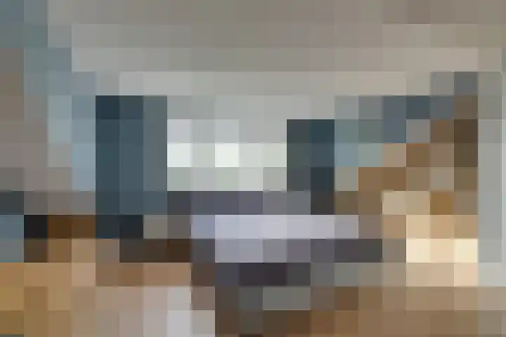 De Krommert 115 Oosthuizen thumbnail 53