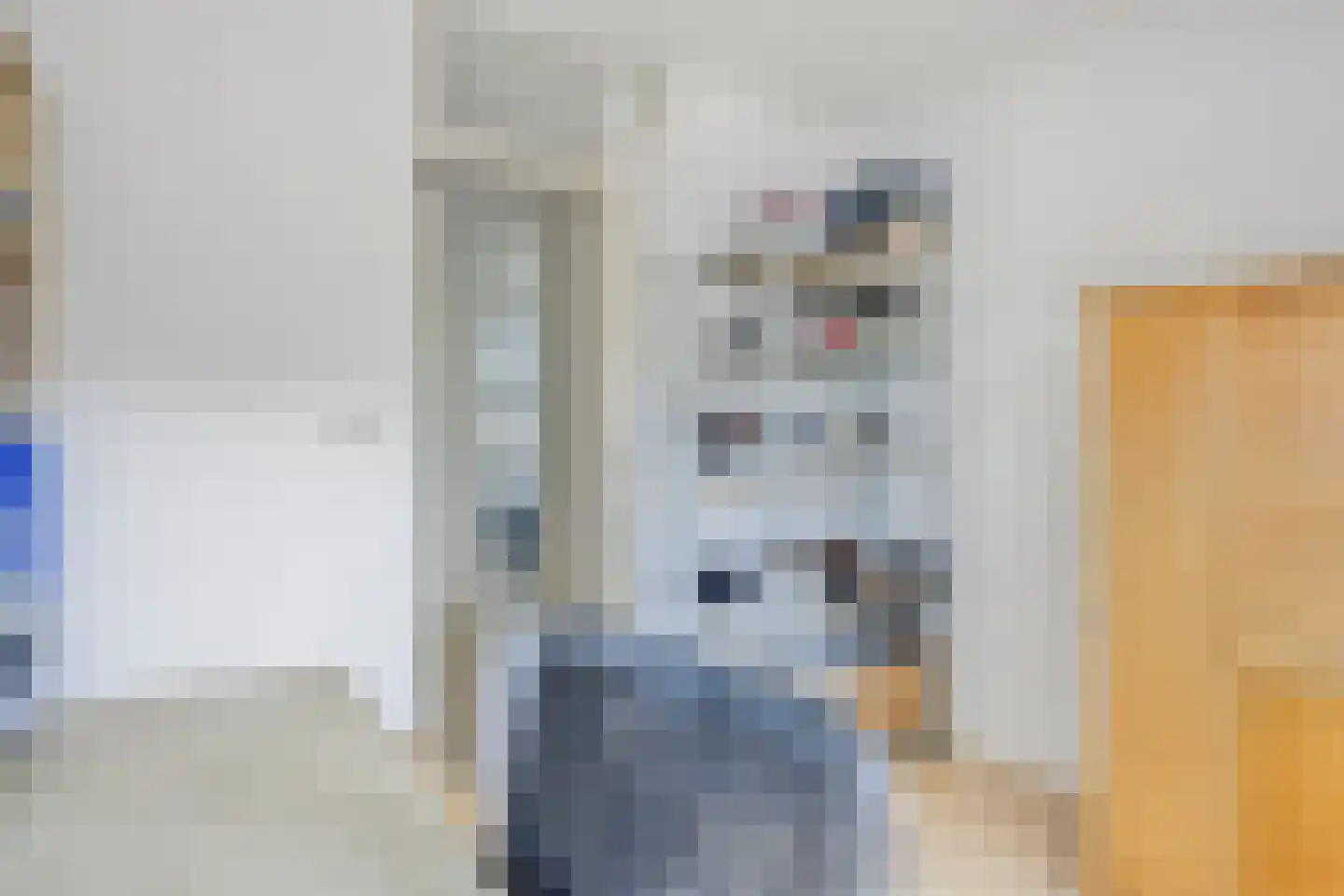 De Krommert 2 Heiloo thumbnail 20