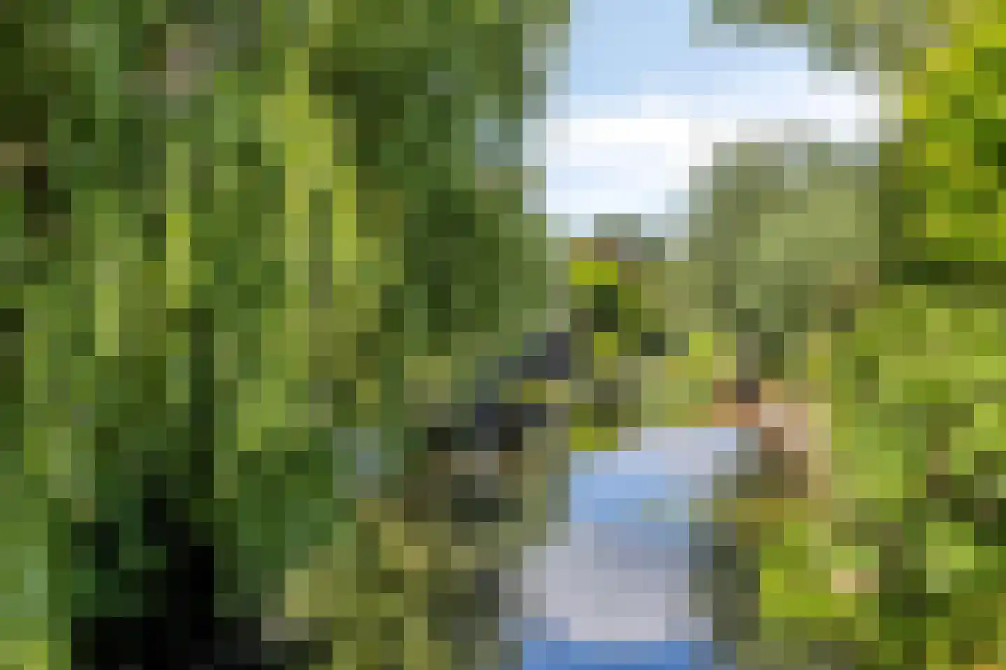 De Krommert 2 Heiloo thumbnail 31