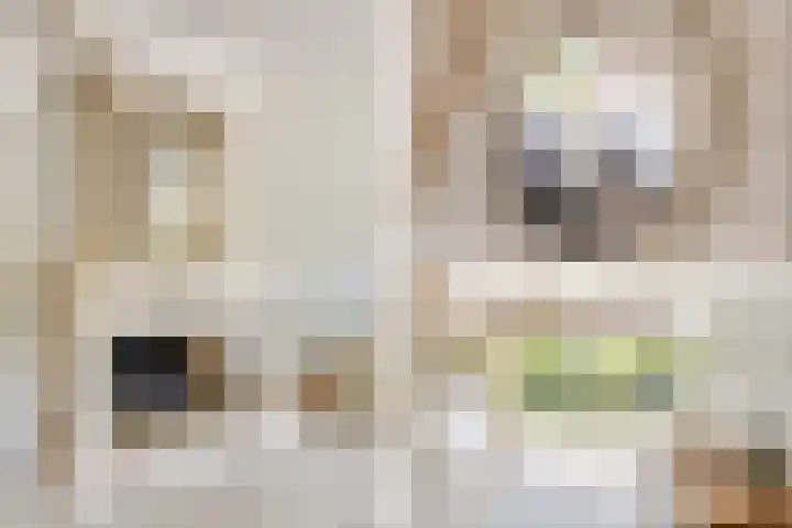 De Krommert 20 Oosthuizen thumbnail 13