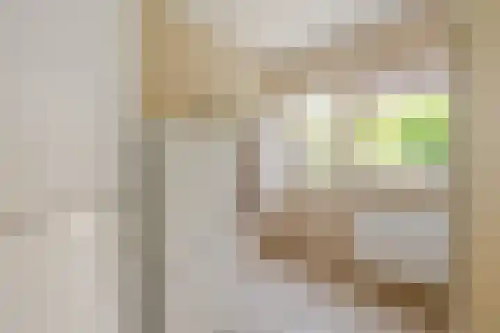 De Krommert 20 Oosthuizen thumbnail 16