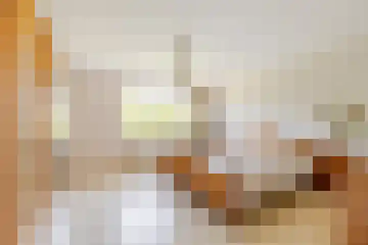 De Krommert 20 Oosthuizen thumbnail 19