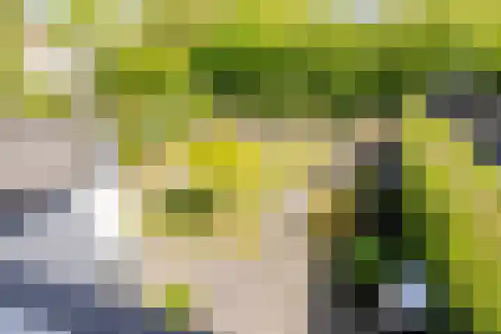 De Krommert 20 Oosthuizen thumbnail 22