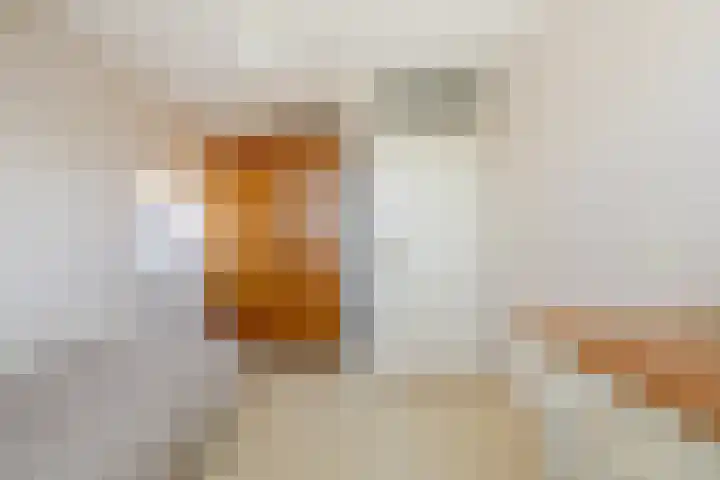 De Krommert 20 Oosthuizen thumbnail 26