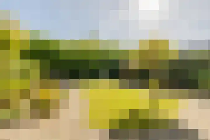 De Krommert 20 Oosthuizen thumbnail 37