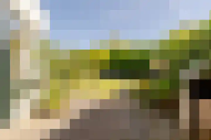 De Krommert 20 Oosthuizen thumbnail 38