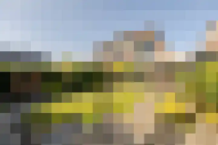 De Krommert 20 Oosthuizen thumbnail 39