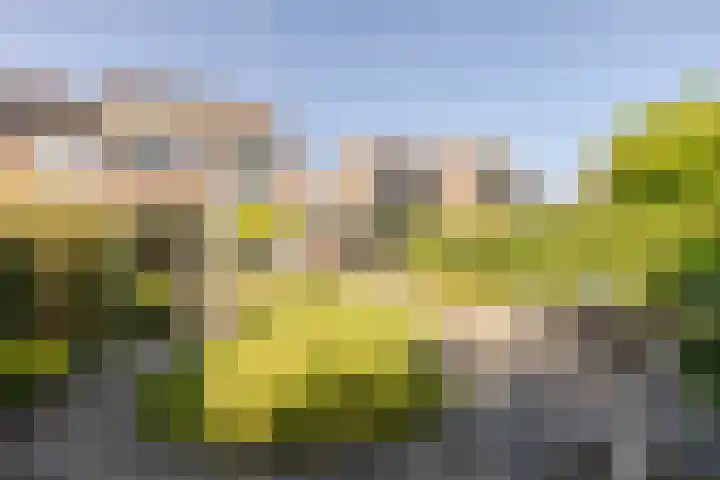 De Krommert 20 Oosthuizen thumbnail 4