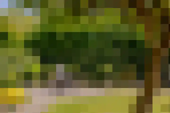 De Krommert 20 Oosthuizen thumbnail 40