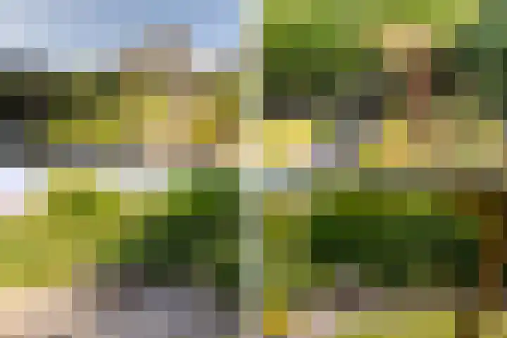 De Krommert 20 Oosthuizen thumbnail 41