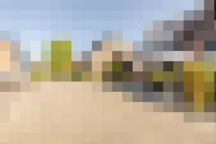 De Krommert 20 Oosthuizen thumbnail 42
