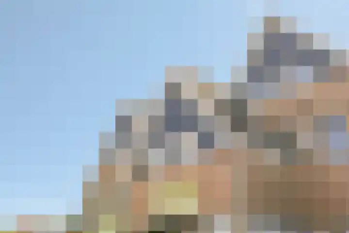 De Krommert 20 Oosthuizen thumbnail 44