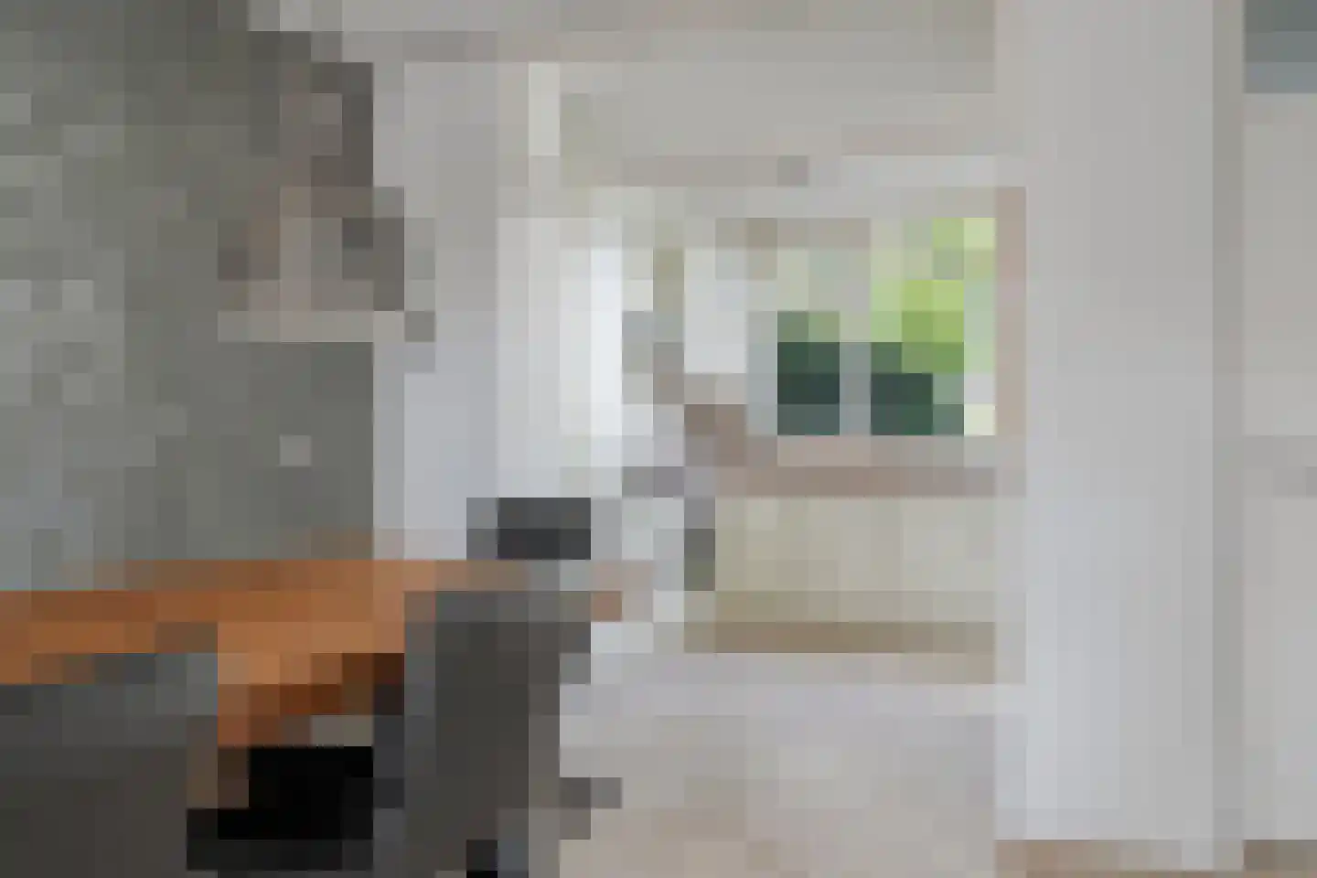 De Krommert 41 Oosthuizen thumbnail 10
