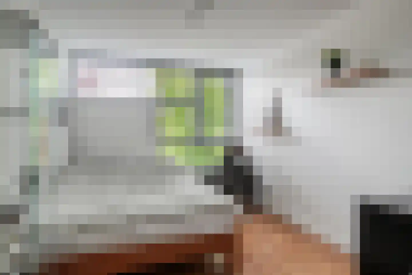 De Krommert 41 Oosthuizen thumbnail 21
