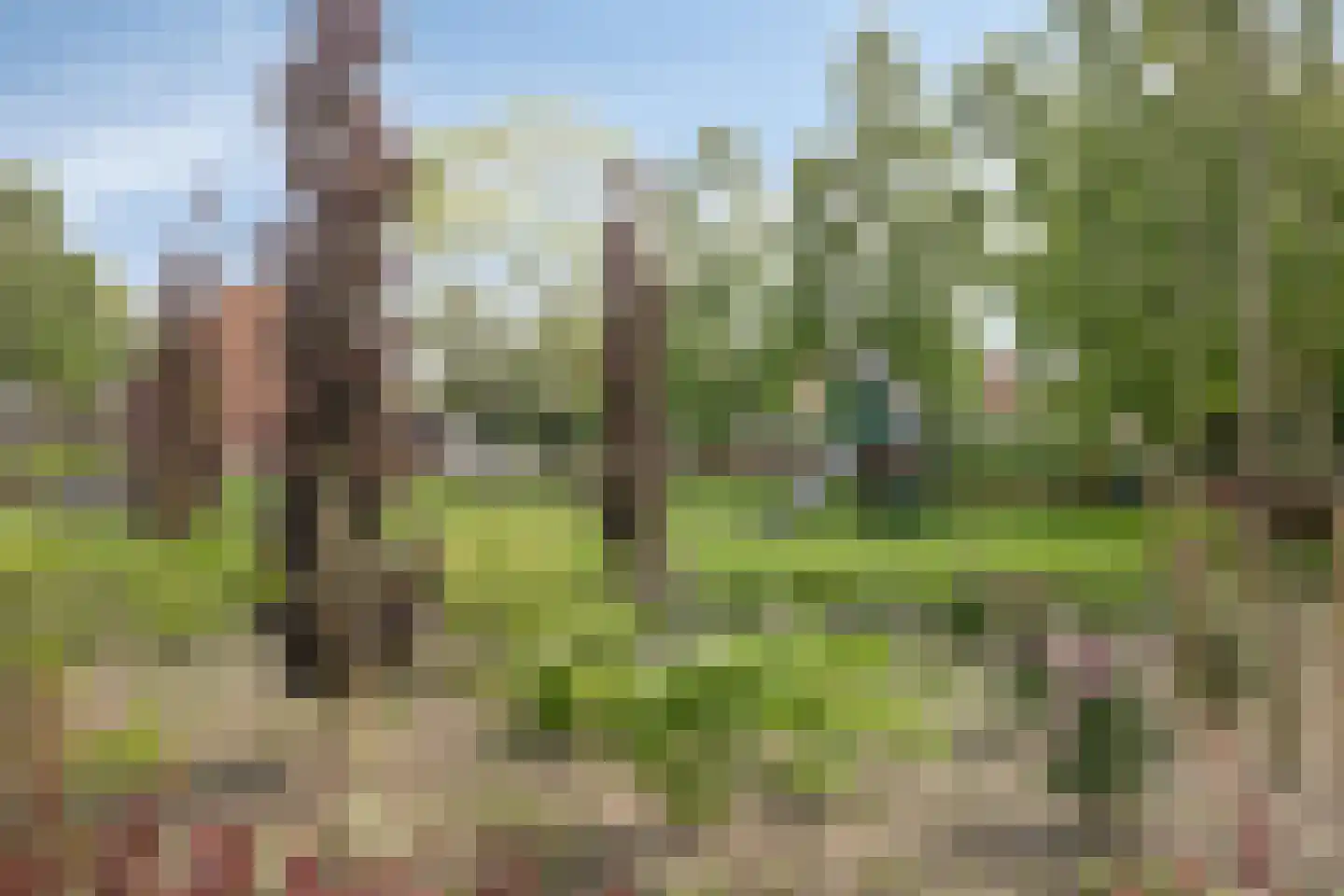 De Krommert 41 Oosthuizen thumbnail 34
