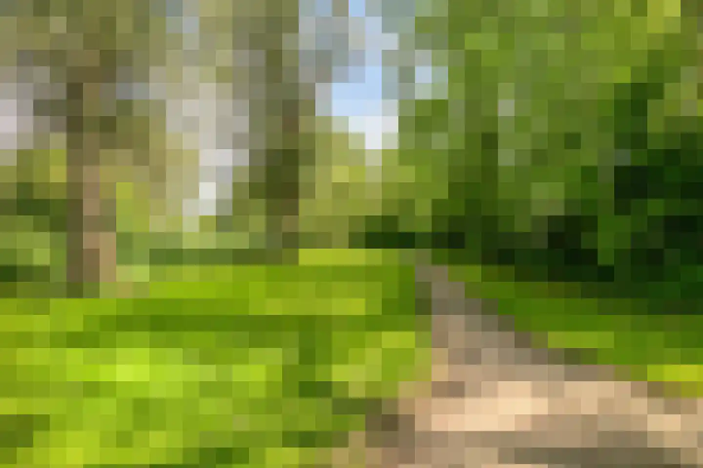 De Krommert 41 Oosthuizen thumbnail 35