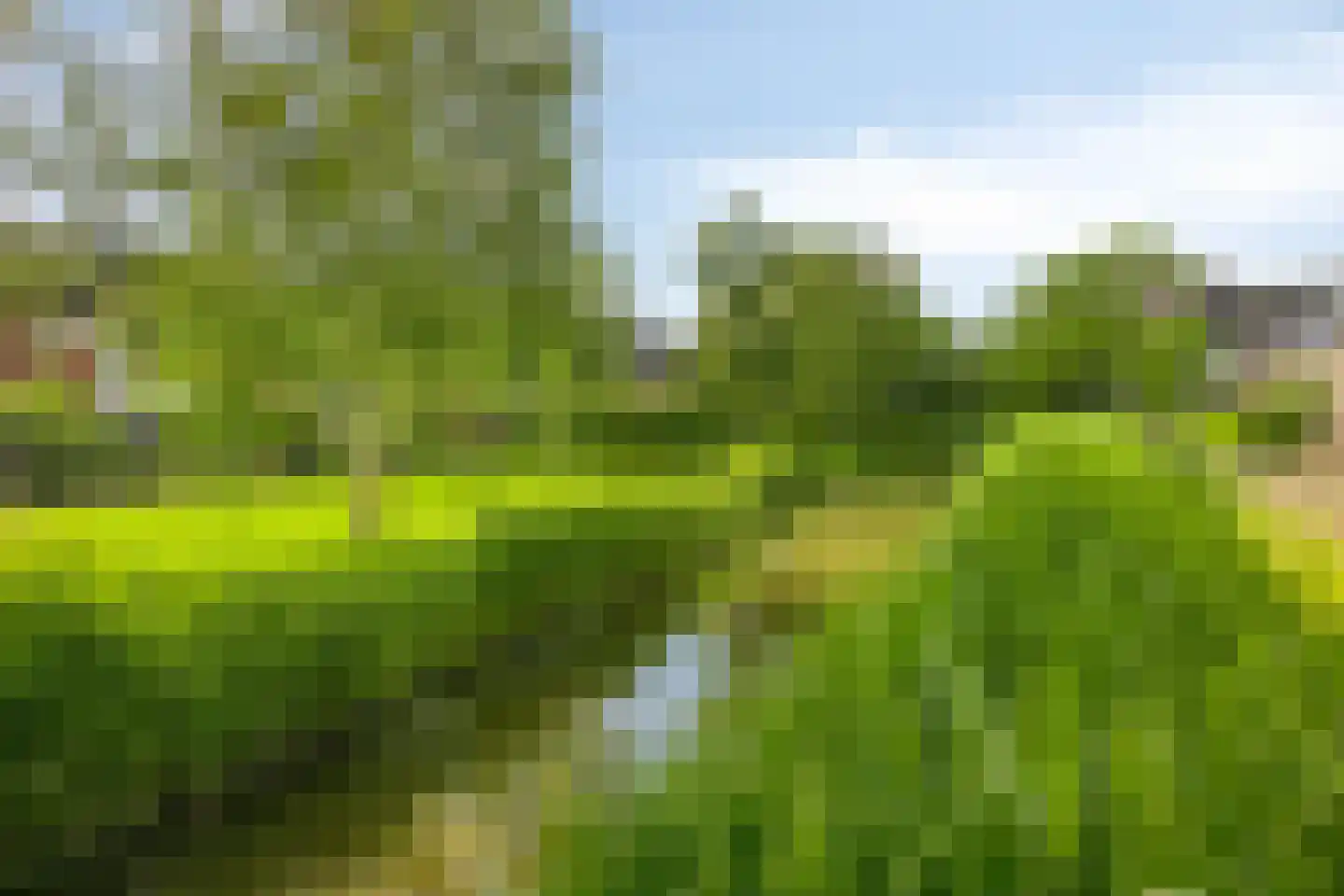 De Krommert 41 Oosthuizen thumbnail 36