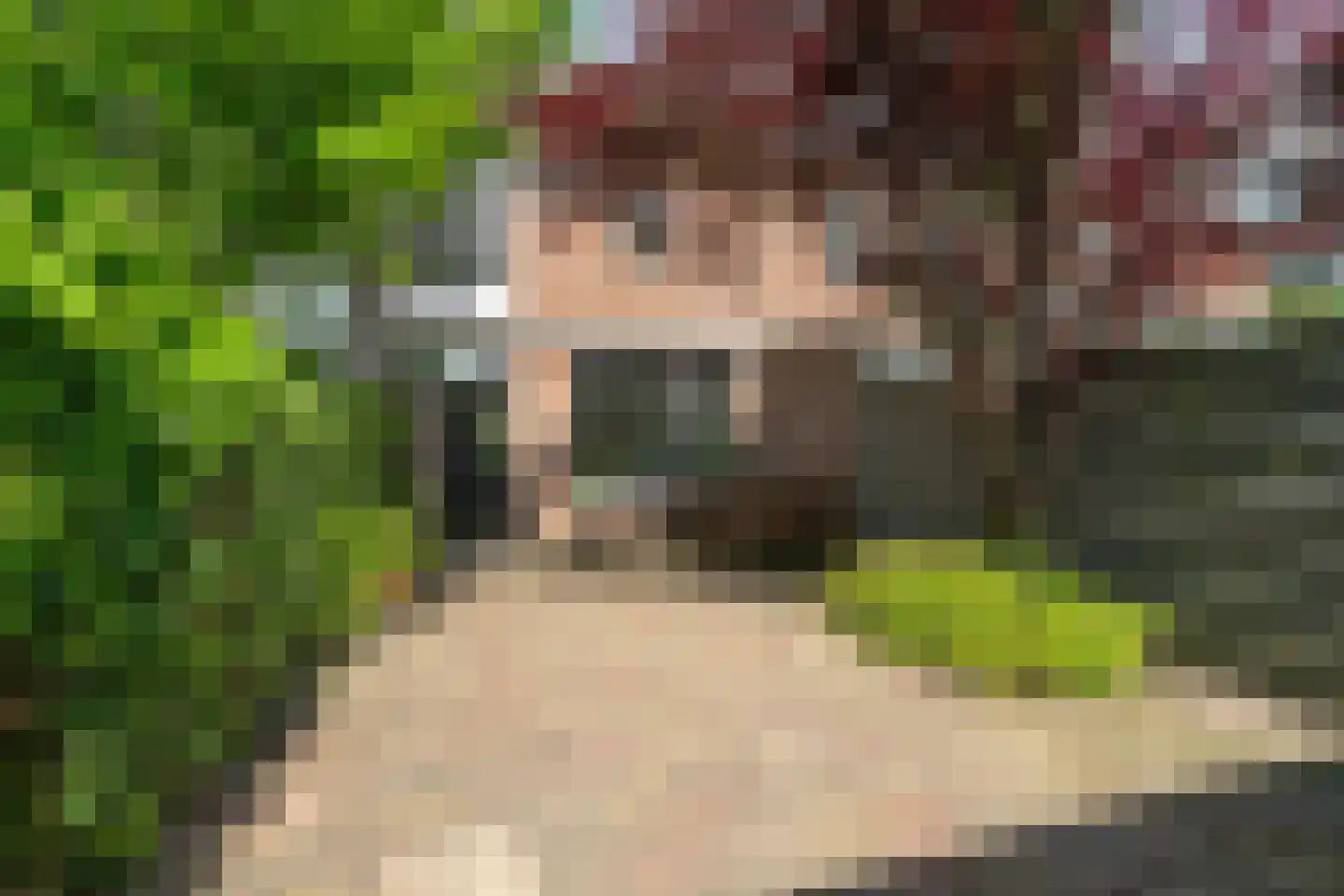 De Krommert 41 Oosthuizen thumbnail 4