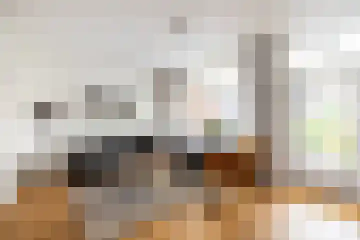 De Krommert 62 Oosthuizen thumbnail 12