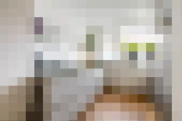 De Krommert 62 Oosthuizen thumbnail 15