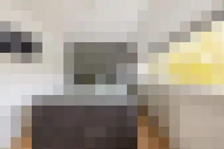 De Krommert 62 Oosthuizen thumbnail 21