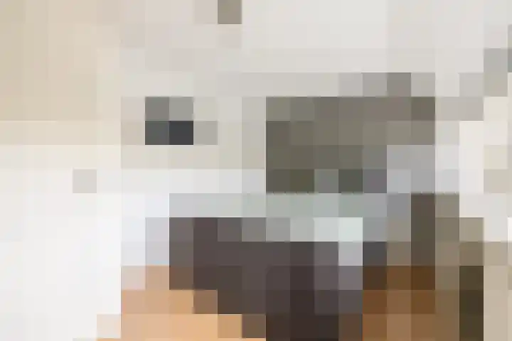 De Krommert 62 Oosthuizen thumbnail 22