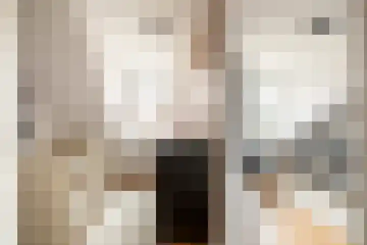 De Krommert 62 Oosthuizen thumbnail 23