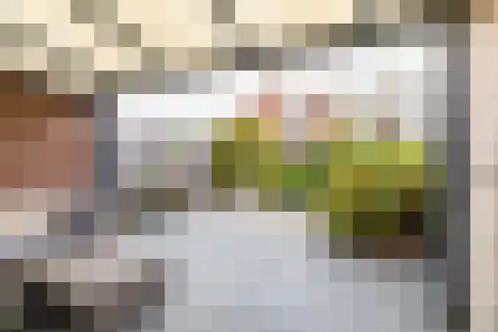 De Krommert 62 Oosthuizen thumbnail 34