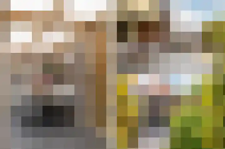 De Krommert 62 Oosthuizen thumbnail 35