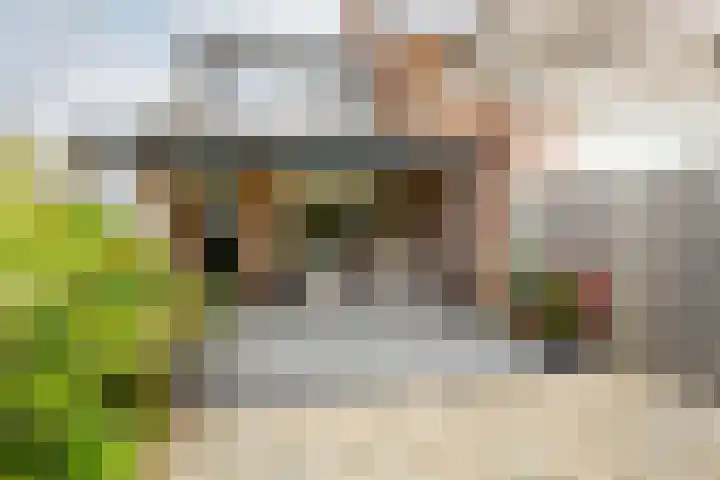 De Krommert 62 Oosthuizen thumbnail 36