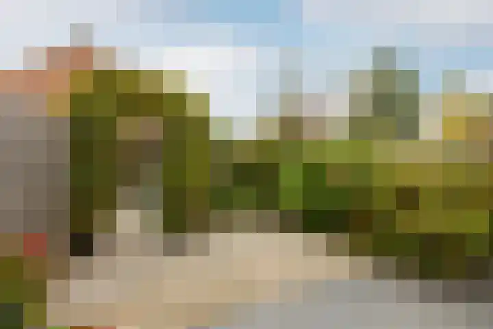 De Krommert 62 Oosthuizen thumbnail 37