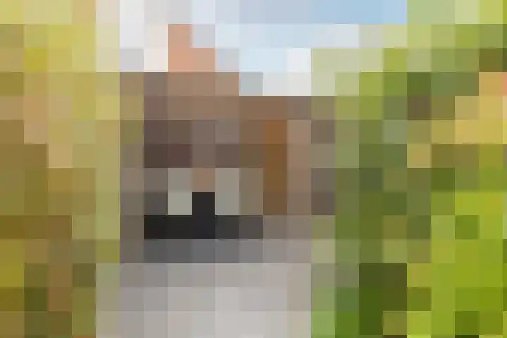 De Krommert 62 Oosthuizen thumbnail 38