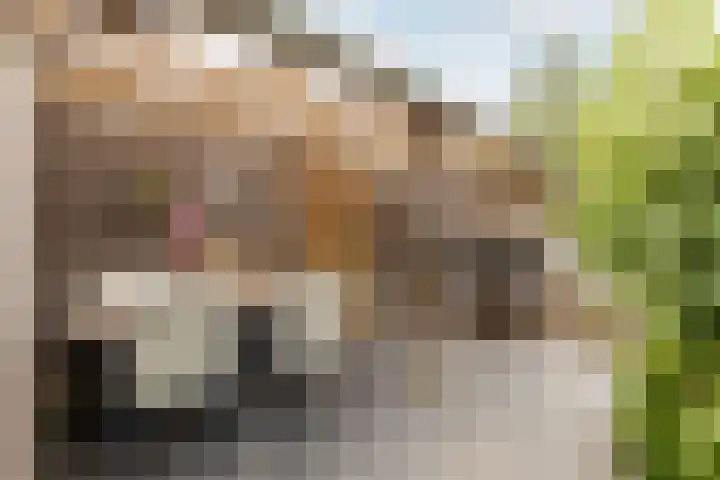 De Krommert 62 Oosthuizen thumbnail 39