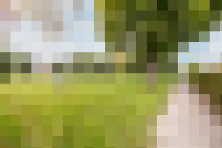 De Krommert 62 Oosthuizen thumbnail 42