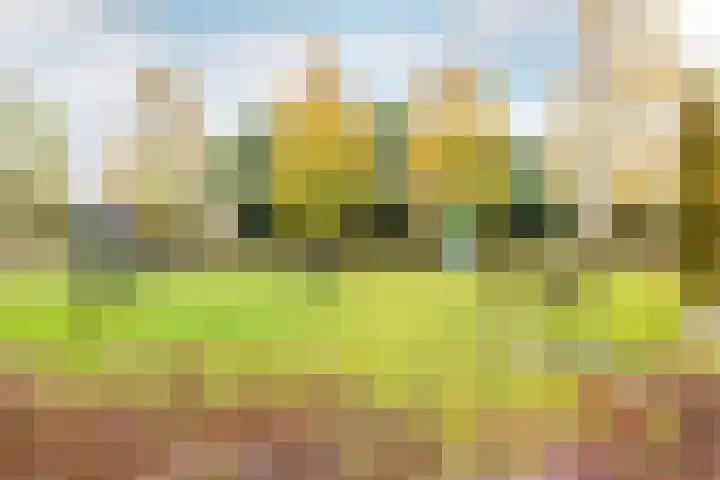 De Krommert 62 Oosthuizen thumbnail 43