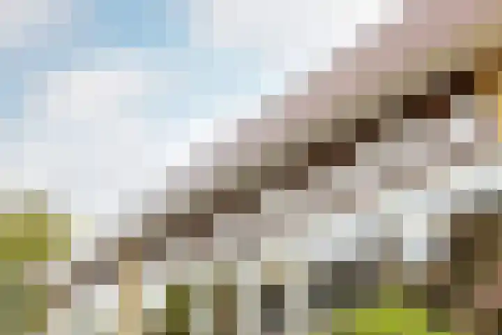De Krommert 62 Oosthuizen thumbnail 47