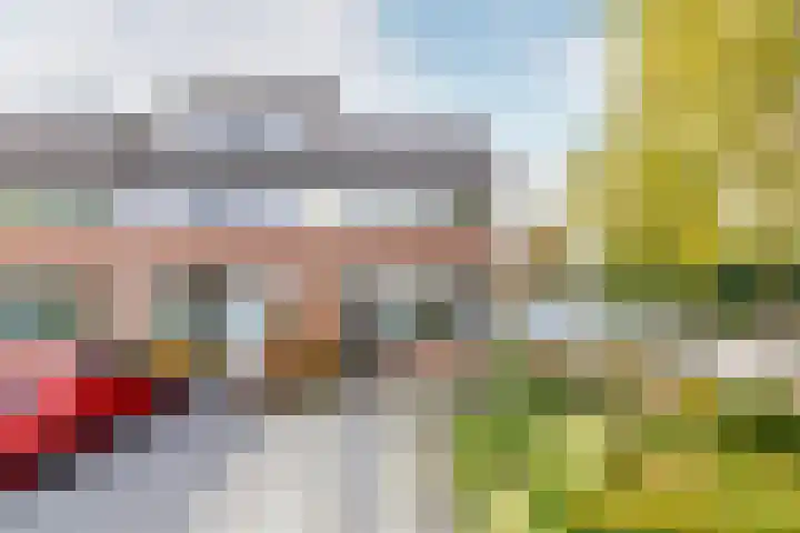 De Krommert 62 Oosthuizen thumbnail 5